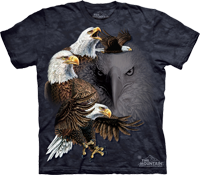 Find 10 Eagles available now at Novelty EveryWear!