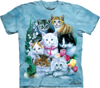 Kittens available now at Novelty EveryWear!
