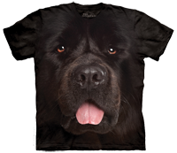 Big Face Newfie available now at Novelty EveryWear!