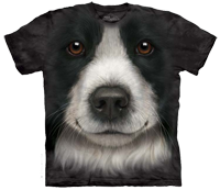 Border Collie Face available now at Novelty EveryWear!