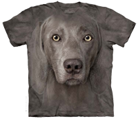 Weimaraner available now at Novelty EveryWear!