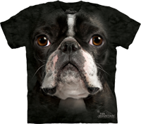 Boston Terrier Face available now at Novelty EveryWear!