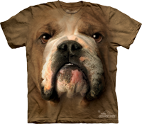 Bulldog Face available now at Novelty EveryWear!