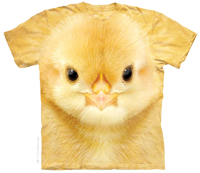 Big Face Baby Chick available now at Novelty EveryWear!