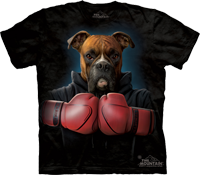 Boxer Rocky available now at Novelty EveryWear!