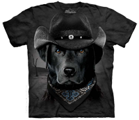 Cowboy Lab available now at Novelty EveryWear!