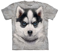 Siberian Husky Puppy available now at Novelty EveryWear!
